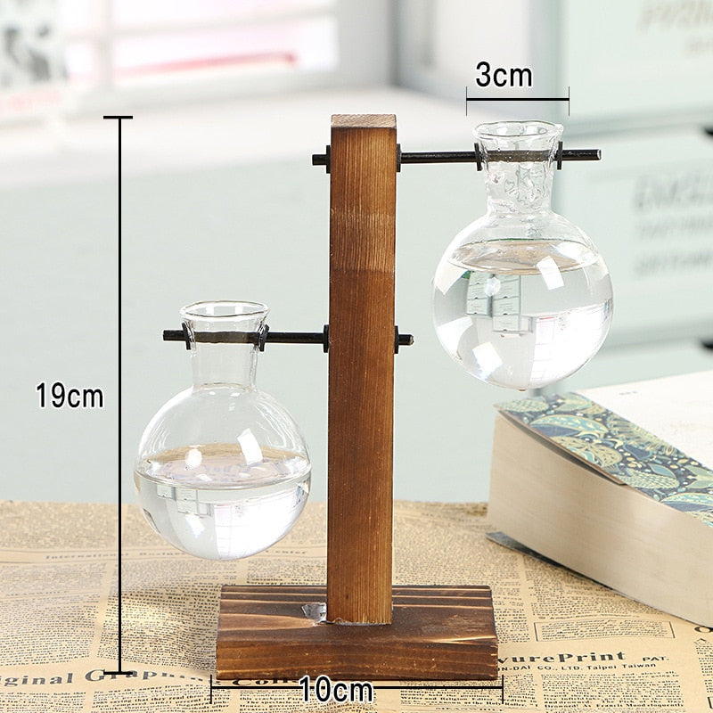 Lisslune | Terrarium Hydroponic Vintage Tabletop Vase