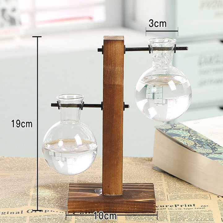 Lisslune | Terrarium Hydroponic Vintage Tabletop Vase