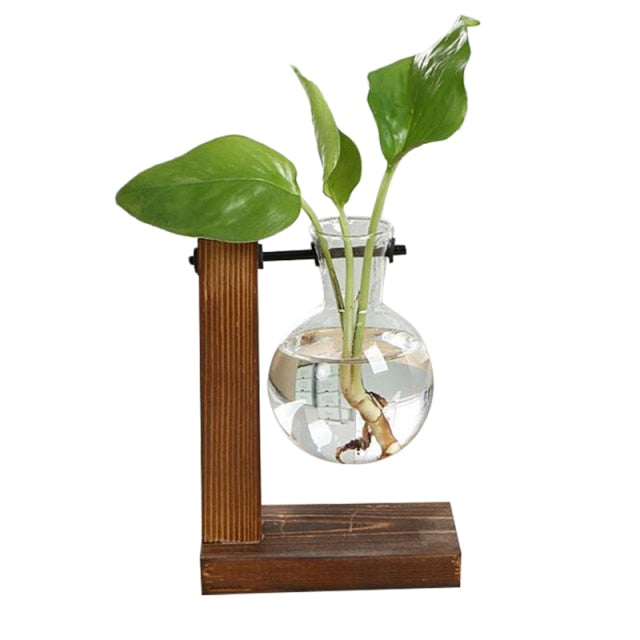Lisslune | Terrarium Hydroponic Vintage Tabletop Vase