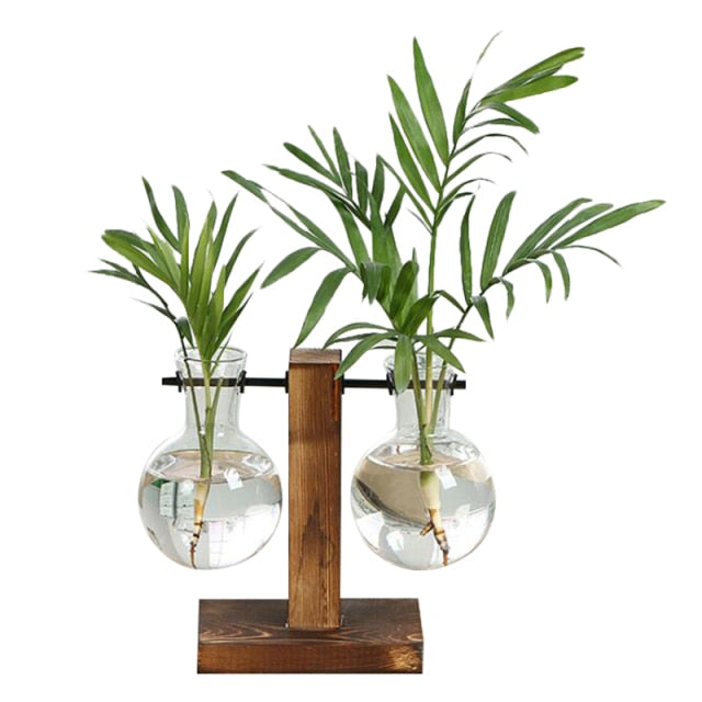 Lisslune | Terrarium Hydroponic Vintage Tabletop Vase