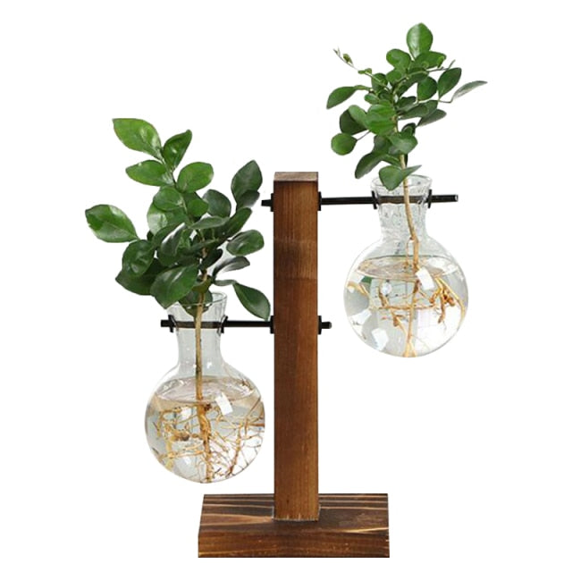 Lisslune | Terrarium Hydroponic Vintage Tabletop Vase