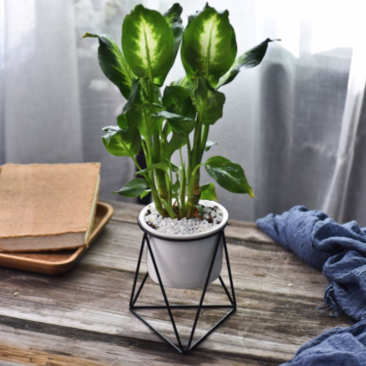 Lisslune | Nordic Style Geometric Iron Rack Flower Pots