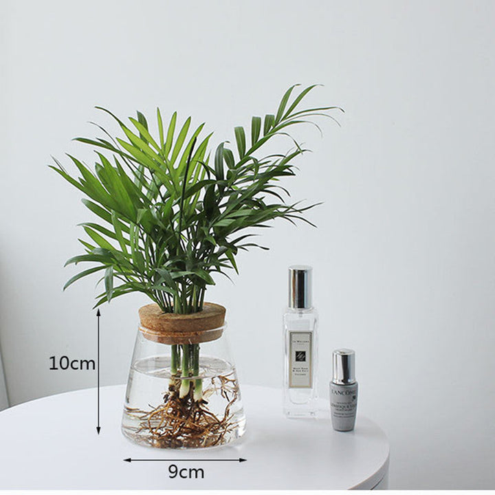 Lisslune | Nordic Transparent Glass Wooden Flower Vase