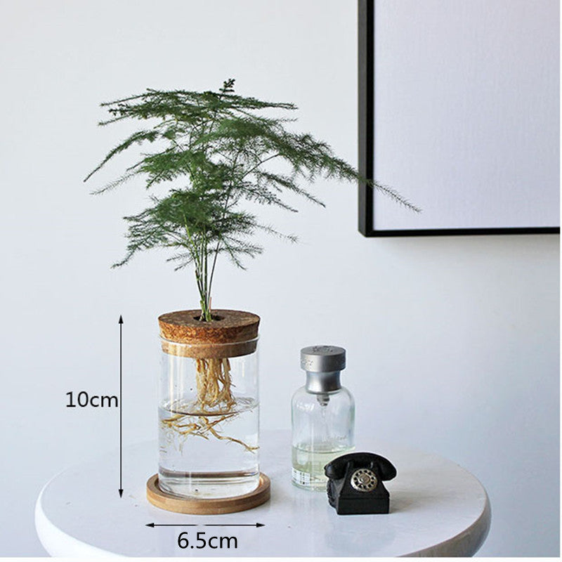 Lisslune | Nordic Transparent Glass Wooden Flower Vase