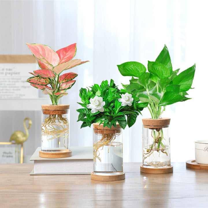 Lisslune | Nordic Transparent Glass Wooden Flower Vase
