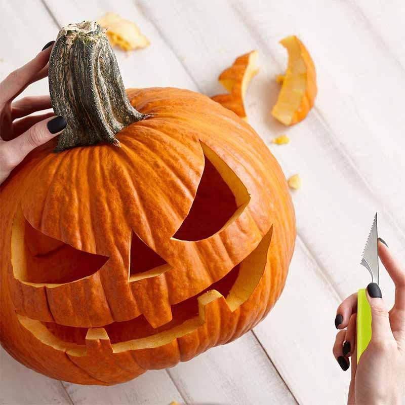 Lisslune | Fruit Carving Knife Set