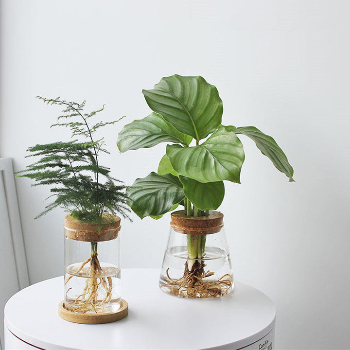Lisslune | Nordic Transparent Glass Wooden Flower Vase