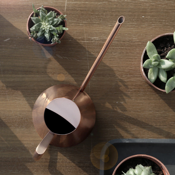 Lisslune | Watering can