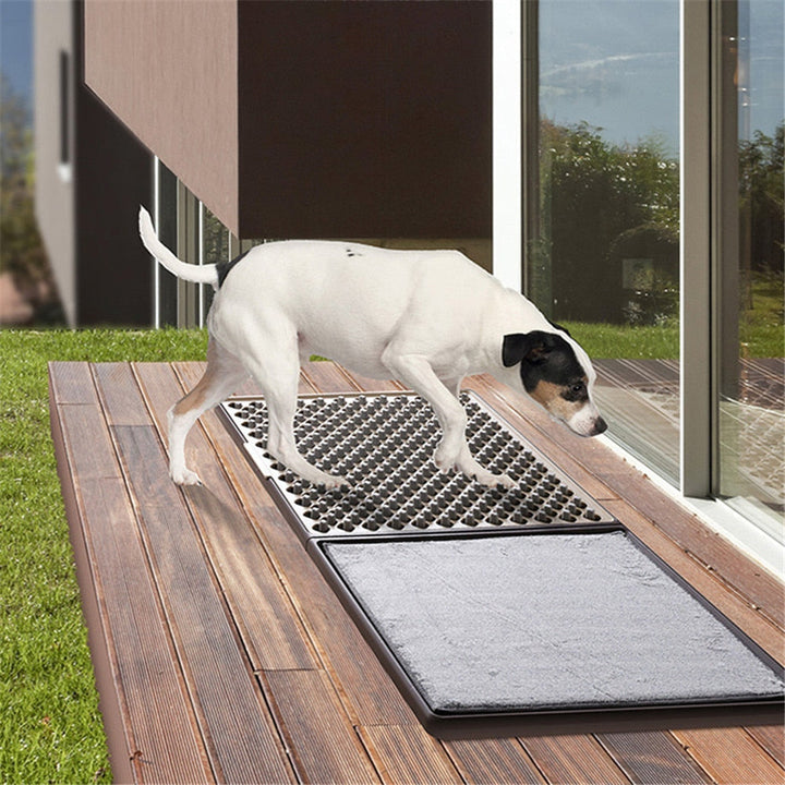 Lisslune | Disinfecting Dust Removal Floor Door Mat