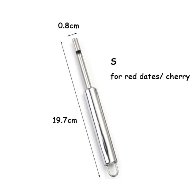 Lisslune | Stainless Steel Fruit Core Remover Tool