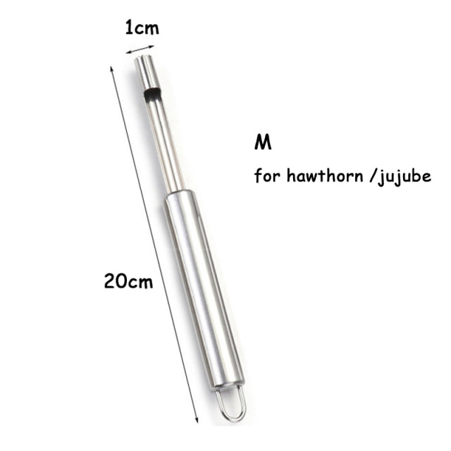 Lisslune | Stainless Steel Fruit Core Remover Tool