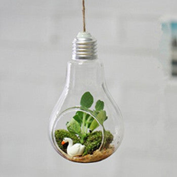 Lisslune | Hanging lamp glass vase