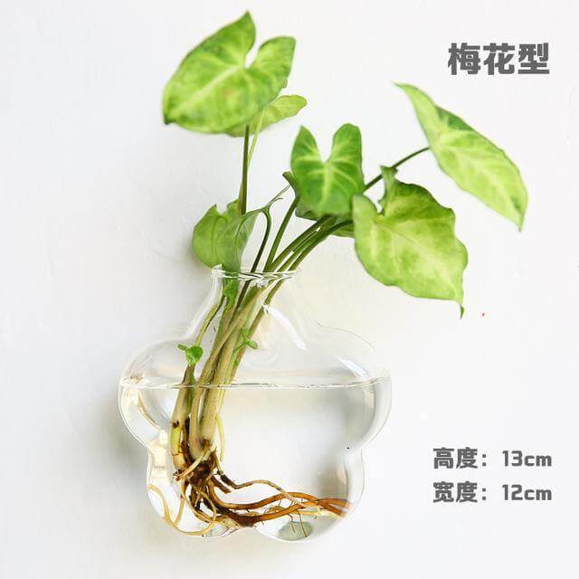 Lisslune | Handmade  New Hexagonal  Wall Clear Terrarium Vase