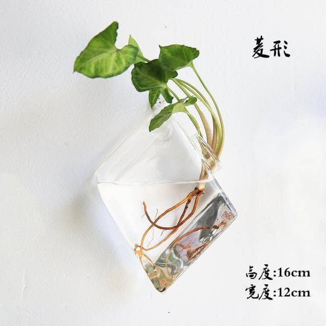 Lisslune | Handmade  New Hexagonal  Wall Clear Terrarium Vase