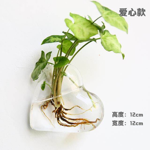 Lisslune | Handmade  New Hexagonal  Wall Clear Terrarium Vase