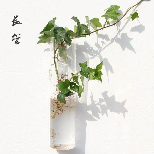 Lisslune | Handmade  New Hexagonal  Wall Clear Terrarium Vase