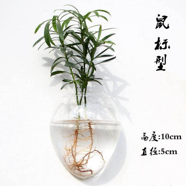 Lisslune | Handmade  New Hexagonal  Wall Clear Terrarium Vase