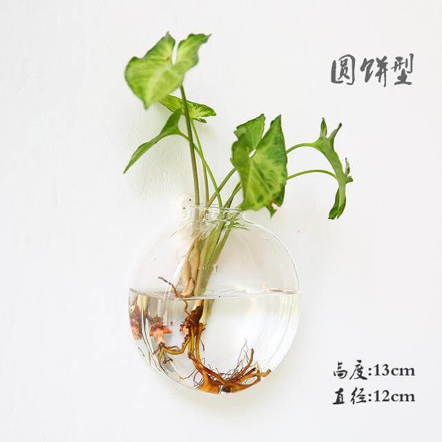 Lisslune | Handmade  New Hexagonal  Wall Clear Terrarium Vase