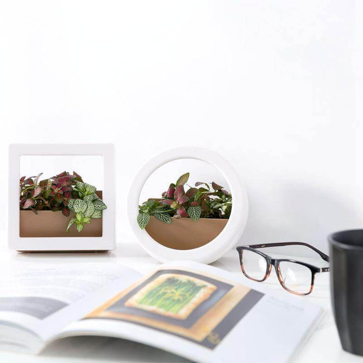 Lisslune | 2 Pcs/Lot Wall Hanging Plant Pot