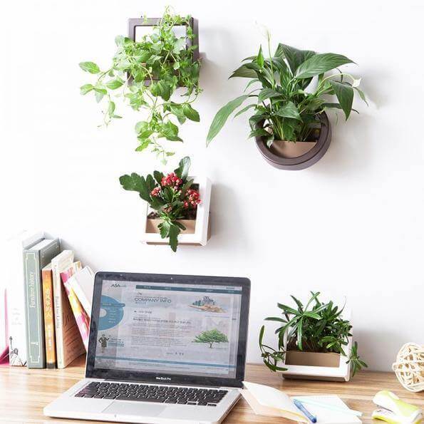 Lisslune | 2 Pcs/Lot Wall Hanging Plant Pot