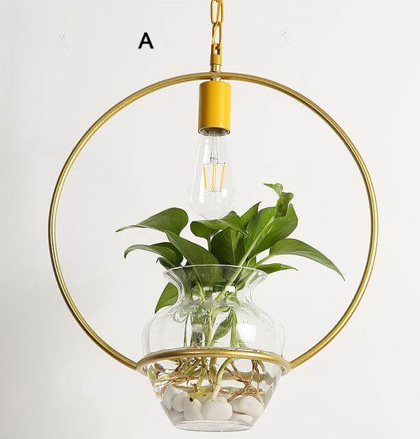Lisslune | Modern Decorative Hanging Lights
