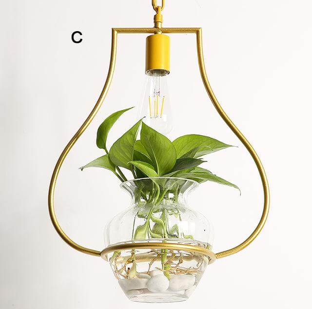 Lisslune | Modern Decorative Hanging Lights
