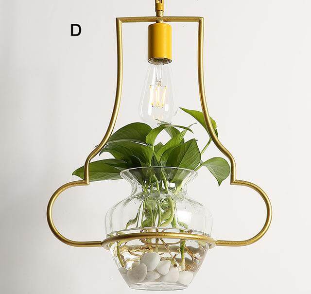 Lisslune | Modern Decorative Hanging Lights