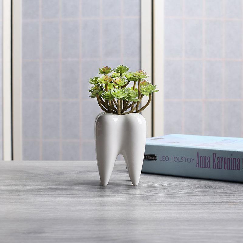 Lisslune | Tooth Shape White Ceramic Modern Flower Pot