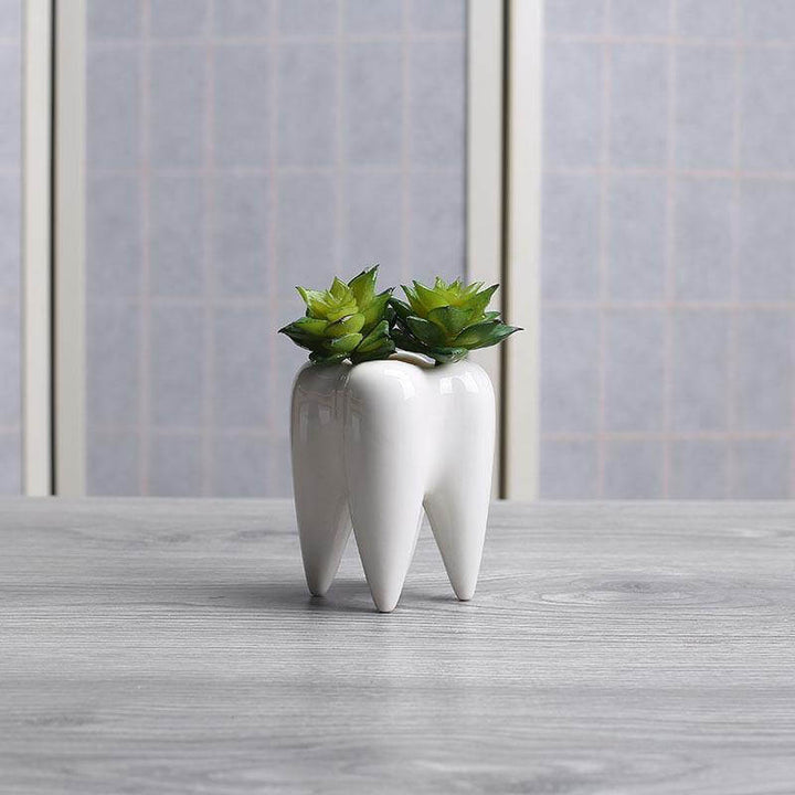 Lisslune | Tooth Shape White Ceramic Modern Flower Pot