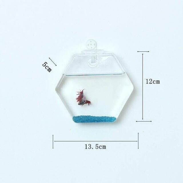 Lisslune | Handmade  New Hexagonal  Wall Clear Terrarium Vase