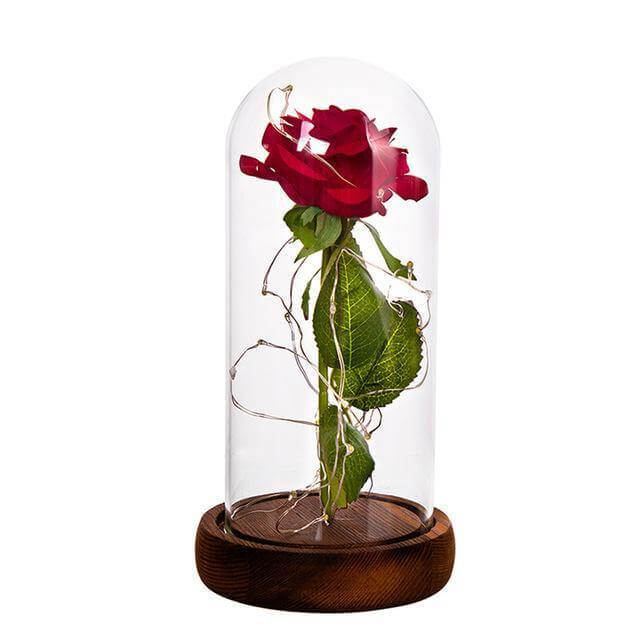 Lisslune | 1Pcs Beast Red Rose Flower Vase