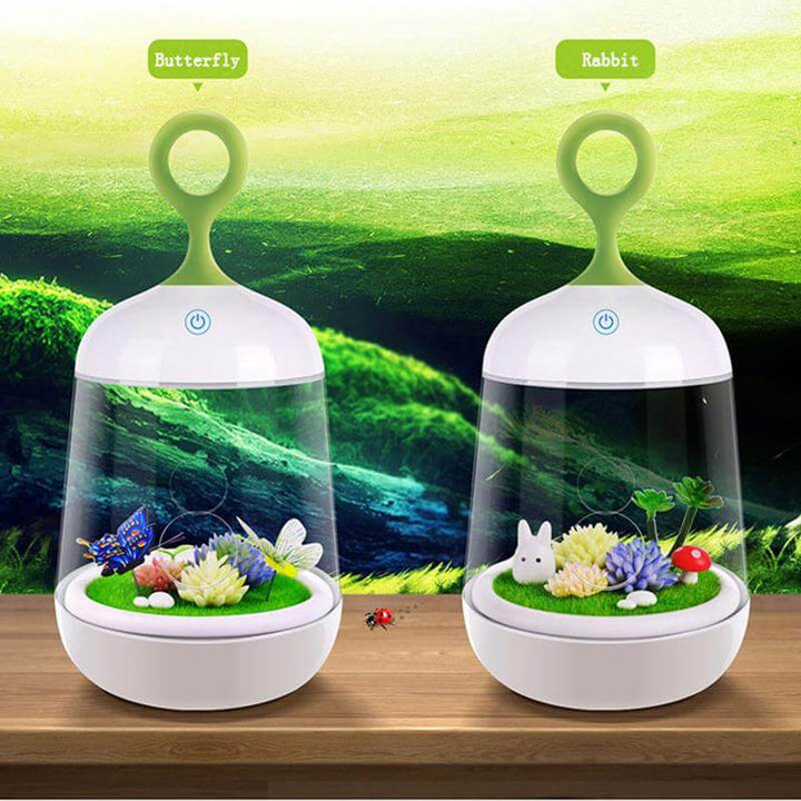 Lisslune | Novelty USB Charging LED Colorful Micro-landscape Plant Light