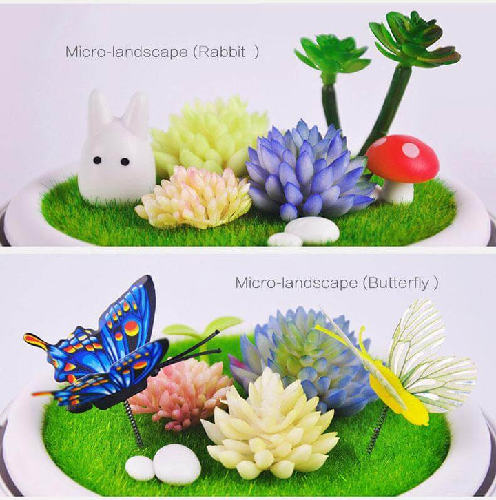 Lisslune | Novelty USB Charging LED Colorful Micro-landscape Plant Light