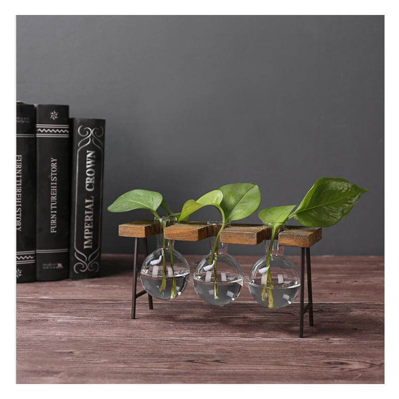 Lisslune | Creative Home Decoration Hydroponic With Iron Feet Plant Vase