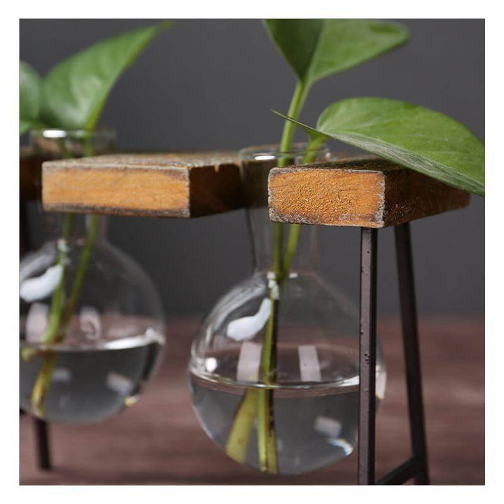 Lisslune | Creative Home Decoration Hydroponic With Iron Feet Plant Vase