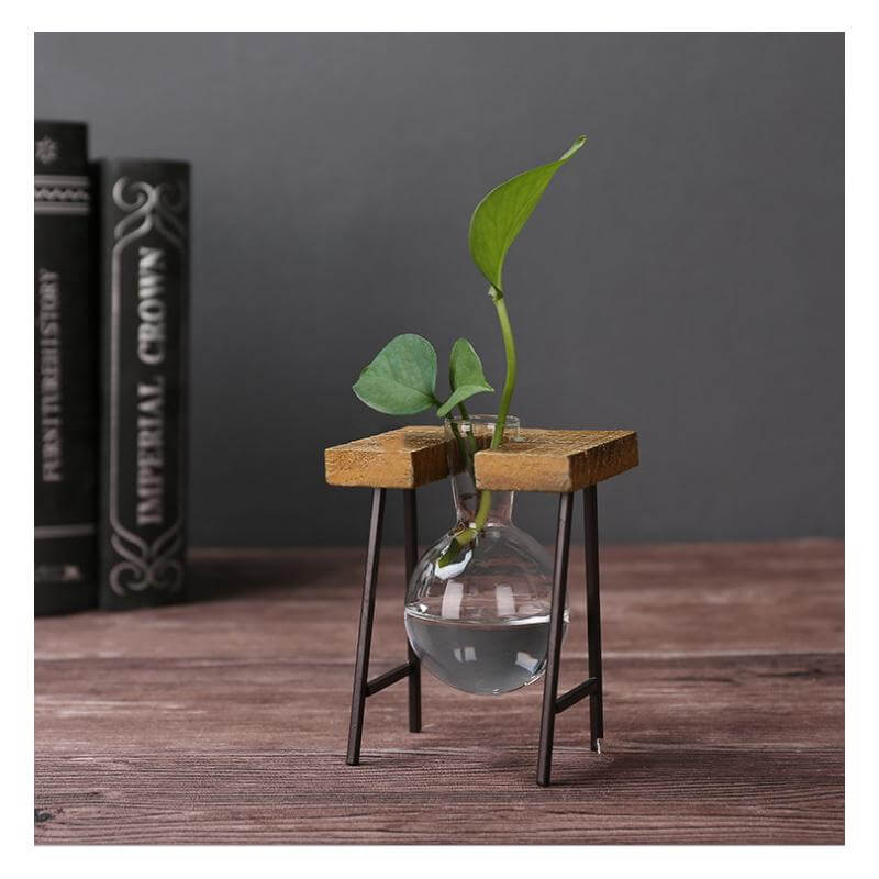 Lisslune | Creative Home Decoration Hydroponic With Iron Feet Plant Vase