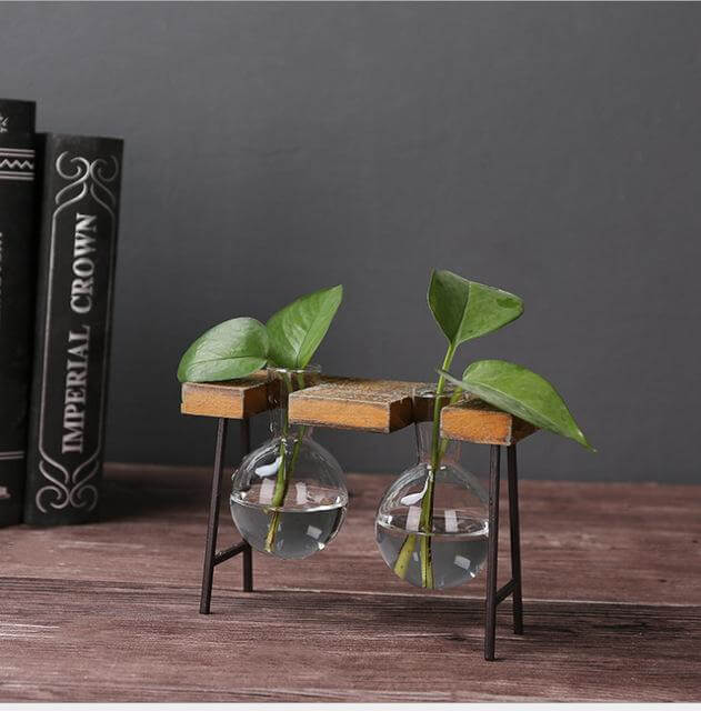 Lisslune | Creative Home Decoration Hydroponic With Iron Feet Plant Vase