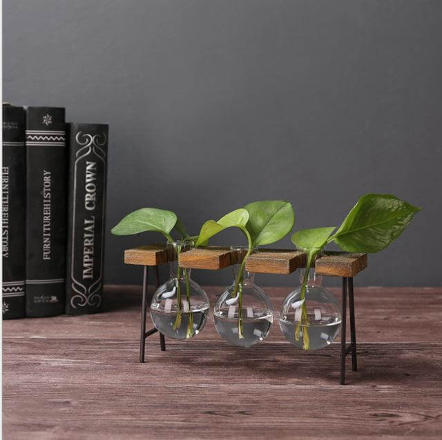 Lisslune | Creative Home Decoration Hydroponic With Iron Feet Plant Vase