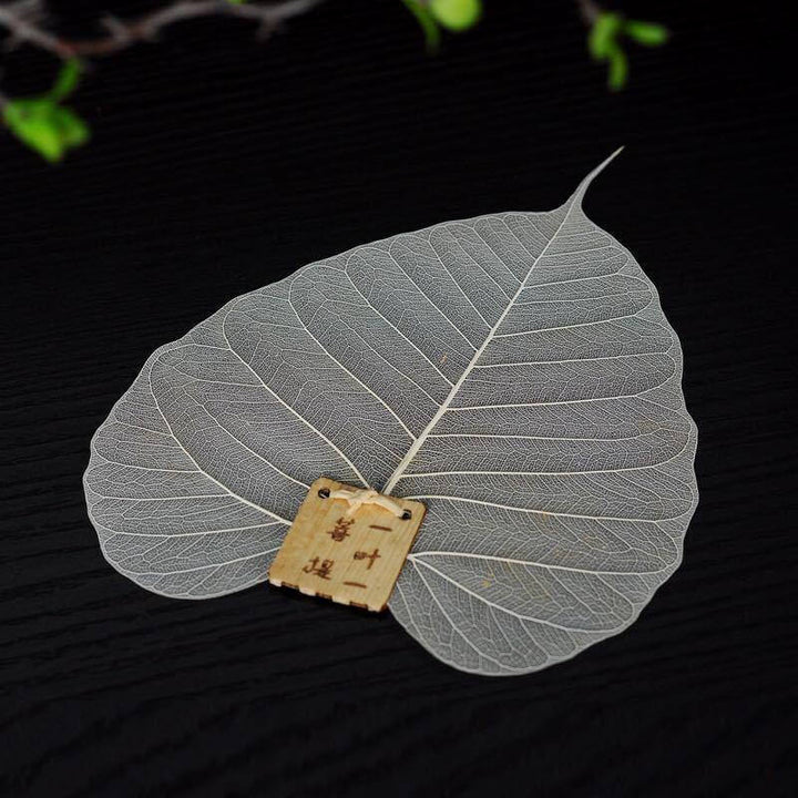 Lisslune | Large Leaf Tea Filter
