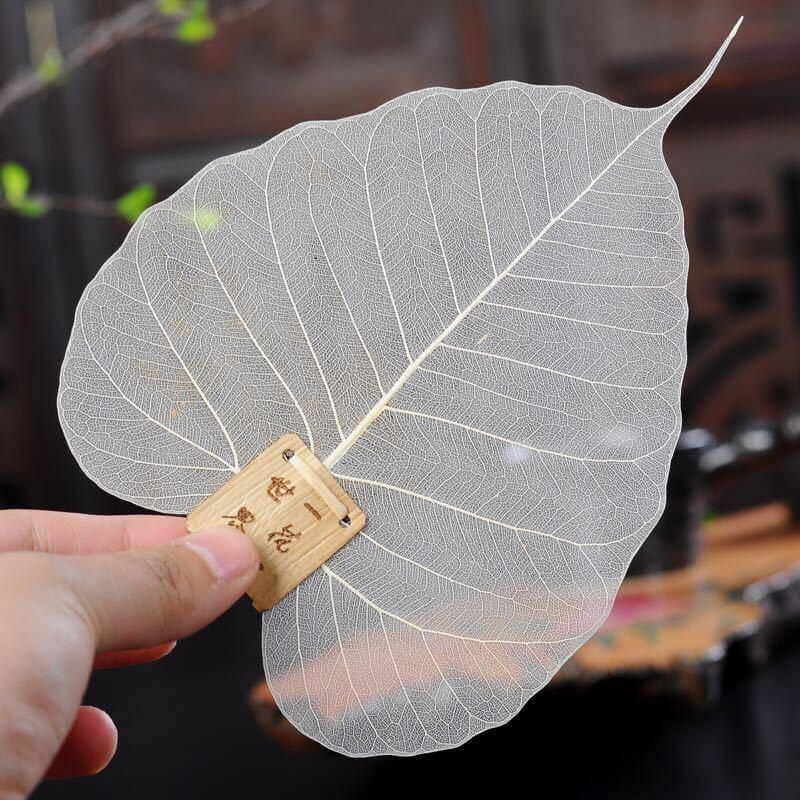 Lisslune | Large Leaf Tea Filter