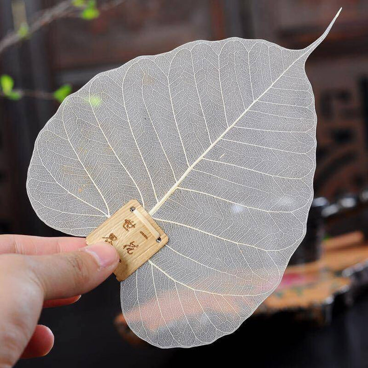 Lisslune | Large Leaf Tea Filter