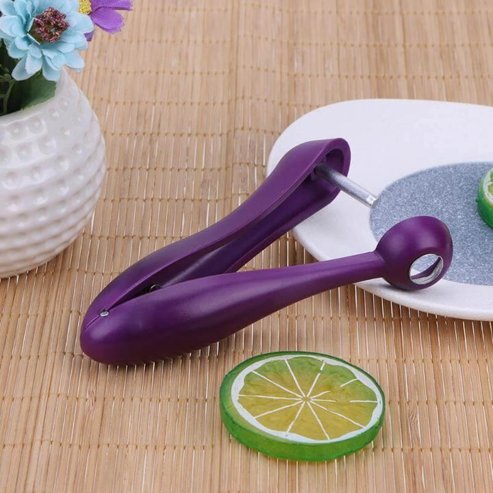 Lisslune | Cherry Pitter Remover Gadget