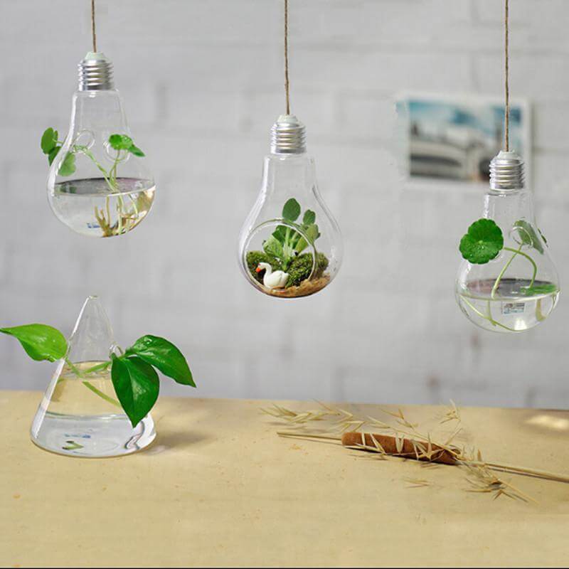Lisslune | Hanging lamp glass vase