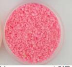 Lisslune | fluorescent sand (10g)