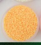 Lisslune | fluorescent sand (10g)