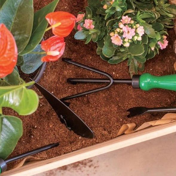 Lisslune | Essential 3-piece Gardening Tool Set: Rake, Weeding and Fork for Garden Maintenance