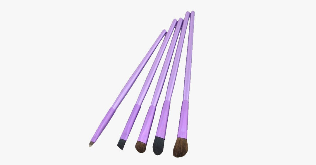Lisslune | 5-piece professional eyeshadow brush set, perfect for blending eyeshadow - soft bristles provide you with professional results!