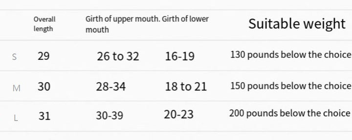 Lisslune | LEGION – Football Leg Protectors with Ankle Support
