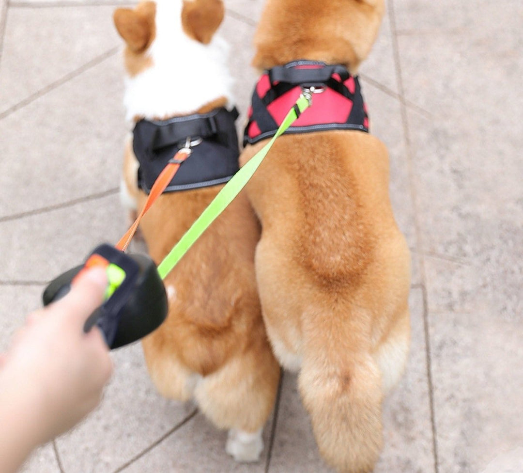 Lisslune | PROPET DUO – Dual Retractable Dog Leash with LED Flashlight
