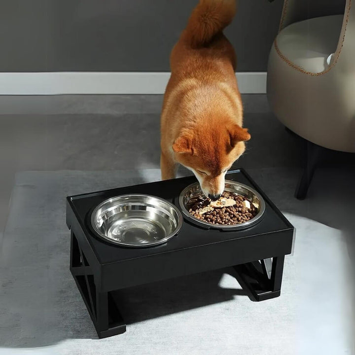 Lisslune | PupLift Elevated Dog Bowl – Ergonomic & Slow Feeding for Healthy Meals